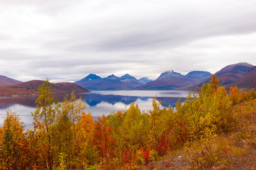  Nature of northern Norway,autumn