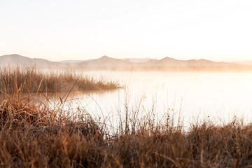 Early morning dawn scene over a foggy pond