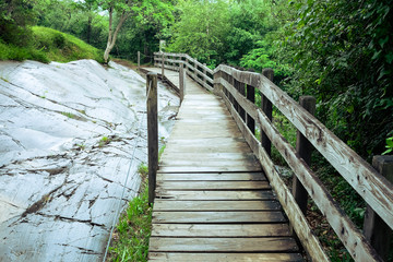 Obraz premium Wooden Footbridge, Foggy Nature, Way Nature, Footbridge Nature, Path Woods, Path Forest, Footbridge