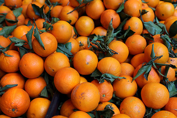 Ripe bright tangerines