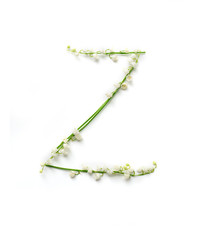 English letter Z in the alphabet of flowers bells. Calligraphy lettering