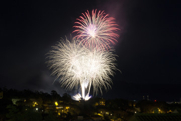  Firework in the night sky