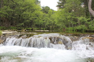 waterfall in the forest