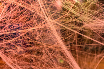 Mass of spider webbing background in a haunted house