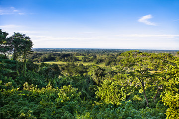  Panoramic view at mexican jungle from  Palenque Temple, Mexico.