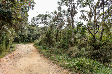 Road in Horton Plains National Park, Sri Lanka.