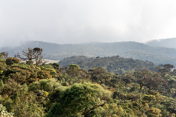 Landscape in Horton Plains National Park, Sri Lanka.