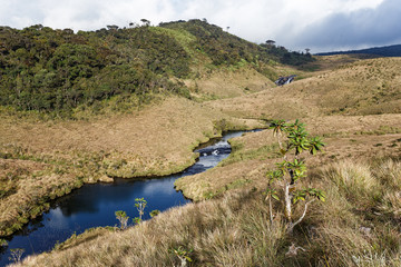 Landscape in Horton Plains National Park, Sri Lanka. - 131281070