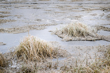 Lake in their autumn colors