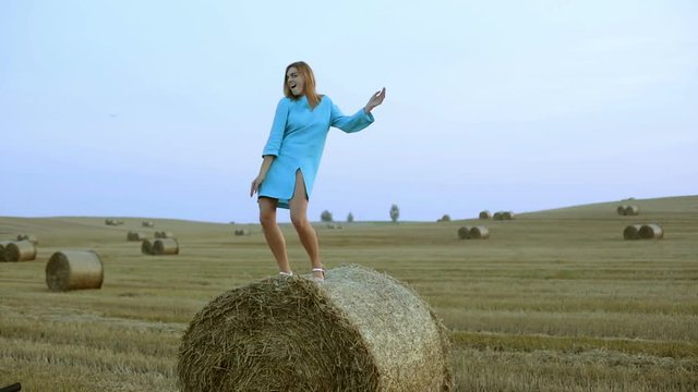 Beautiful young girl in the field.