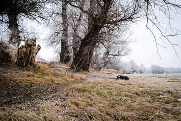 Obraz premium Forgotten boat on the lake 