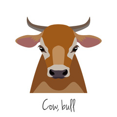Vector cow, bull head. farm animal. flat cartoon style