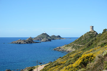 Corsican coast with Bloofy Islands