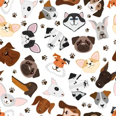 Foto op Plexiglas Katten Schattige puppy en hond gemengd ras naadloos patroon