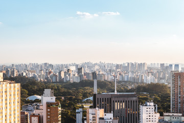 Elevated View of Ibirapuera Park in Sao Paulo, Brazil (Brasil)
