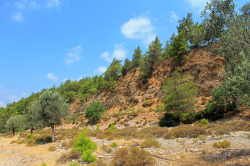 Fototapeta na wymiar Grèce, Paysage de Rhodes