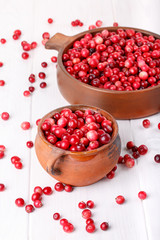 Ripe wild cranberries.