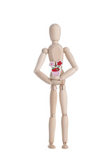 Wooden mannequin with flower plant