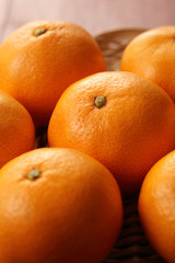 みかん　Japanese Mandarin orange　Mikan
