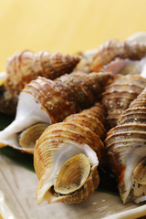 つぶ貝　Whelk