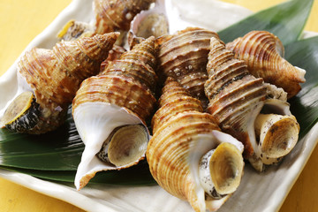 つぶ貝　Whelk