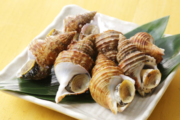 つぶ貝　Whelk