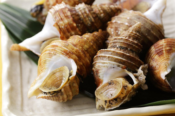 つぶ貝　Whelk
