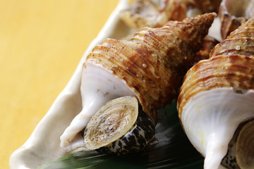 つぶ貝　Whelk