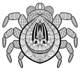 Spider in zentangle style for tattoo. Print or t-shirt. Adult antistress coloring page. Black and white hand drawn doodle for coloring book 