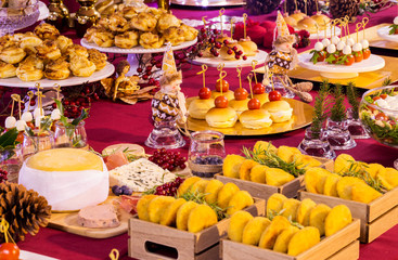 Variety of Appetizers at the Christmas Table

