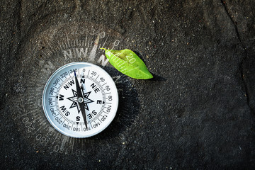 compass on earth with green leaf, Find the way out for nature concept, flat top view