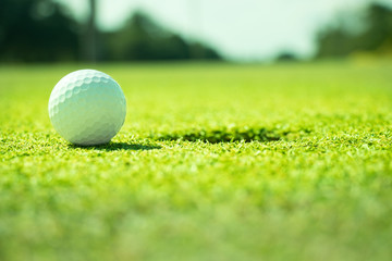 Golf ball on the green.