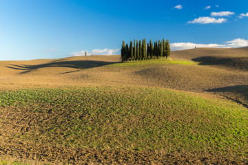 Collina val d'Orcia