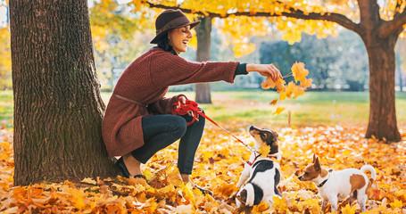 Happy young woman playing with dogs outdoors in autumn