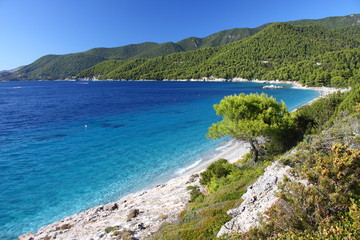 Milia beach, Skopelos island, Sporades island, Greek island, Thessaly, Aegean Sea, Greece 