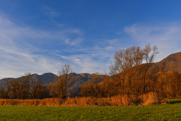 Naklejka premium Panoramica autunnale in palude
