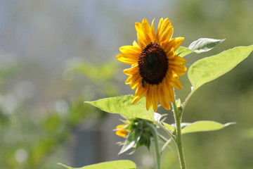 Random nature photos