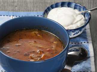 Russian cabbage soup (Shchi)