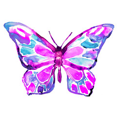 butterfly,watercolor, isolated on a white