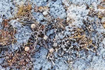 Beautiful ice crystals on the grass in the winter on the shores of Lake Baikal. Natural background