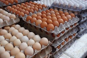 Giant cardboard crates of fresh white, yellow and brown eggs at the market