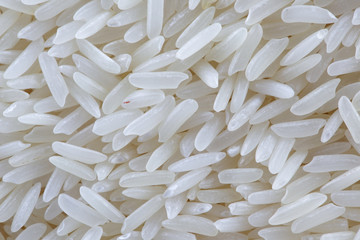 close up of white polished rice grain