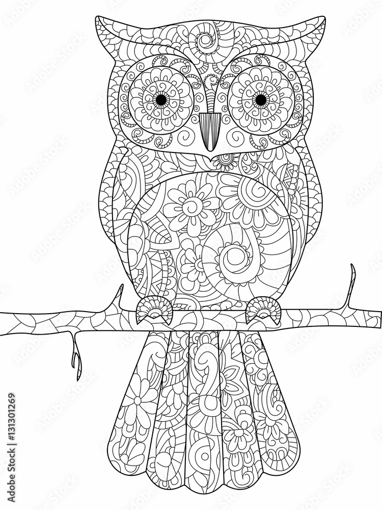 Wall mural Owl on a branch Coloring book vector for adults