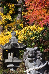 Feuilles d'automne à Takeda 