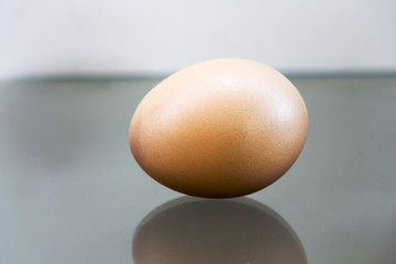 One chicken egg on the floor