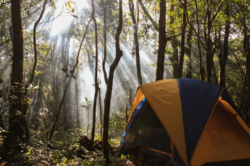 Camping tent in a wooded campsite among trees with light flare effect