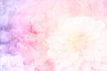 Zelfklevend Fotobehang roze dahlia in de tuin © hui_u
