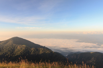 Landscape with the green grass on mountain in sunrise, Doimonjong Thailand