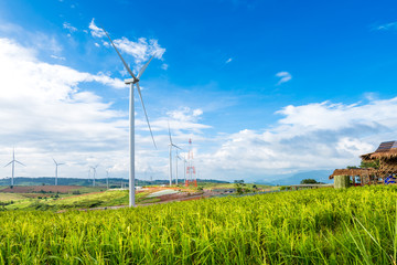 Fototapeta na wymiar wind turbine with rice field on hill