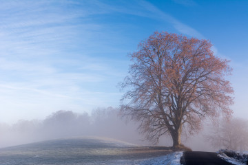 Obraz na płótnie Canvas Landschaft mit Nebel und Sonne mit Aussicht
